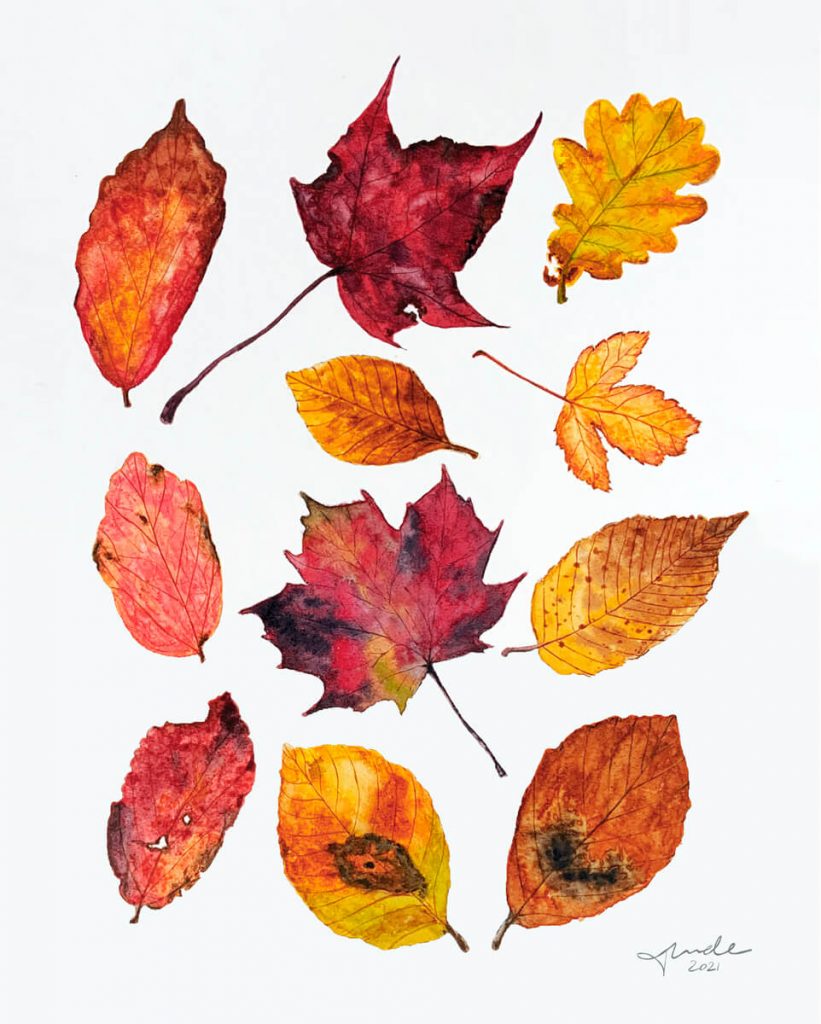 Pressed Autumn Leaved by Tunde Szentes
