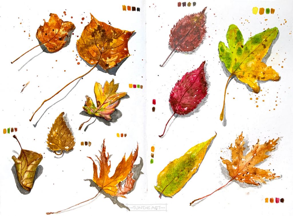 Autumn Leaves Study by Tunde Szentes