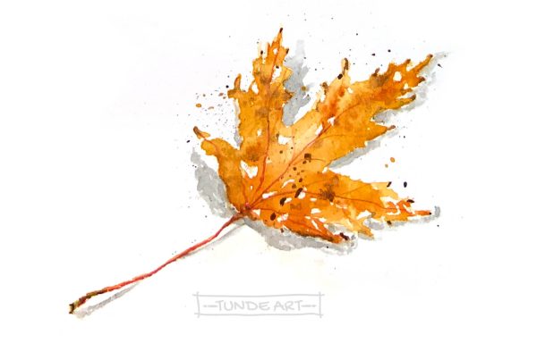 Silver maple leaf by Tunde Szentes