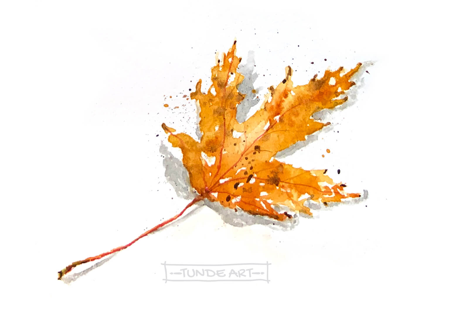 Silver maple leaf by Tunde Szentes