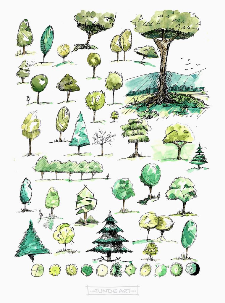Tree Types Sketch - Tunde Szentes