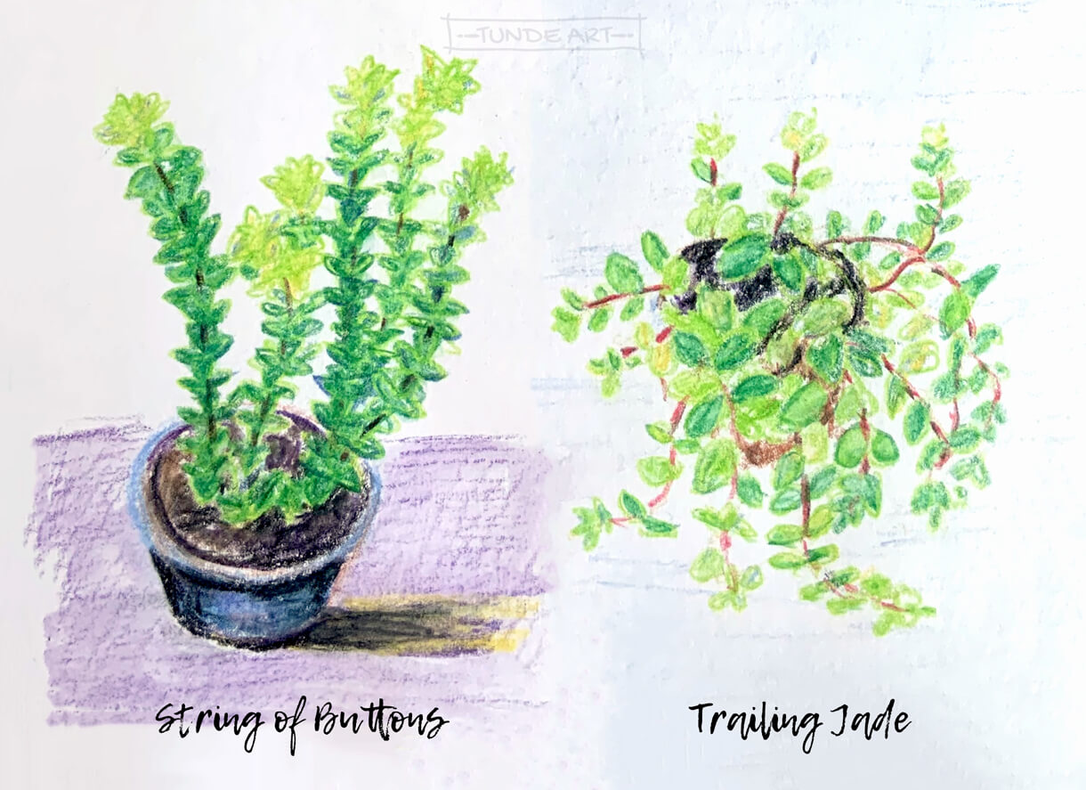 String of Buttons and Trailing Jade - Tunde Szentes