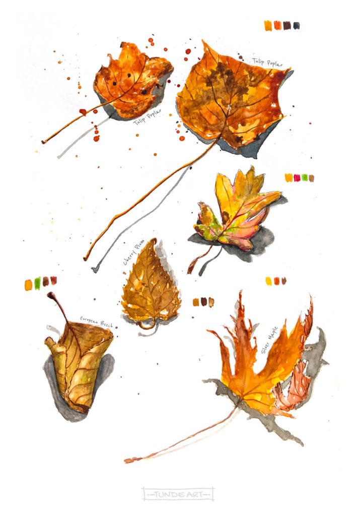 Autumn Leaves by Tunde Szentes