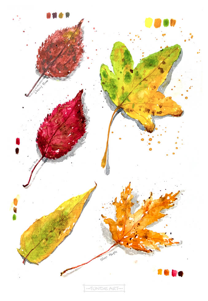 Autumn Leaves by Tunde Szentes