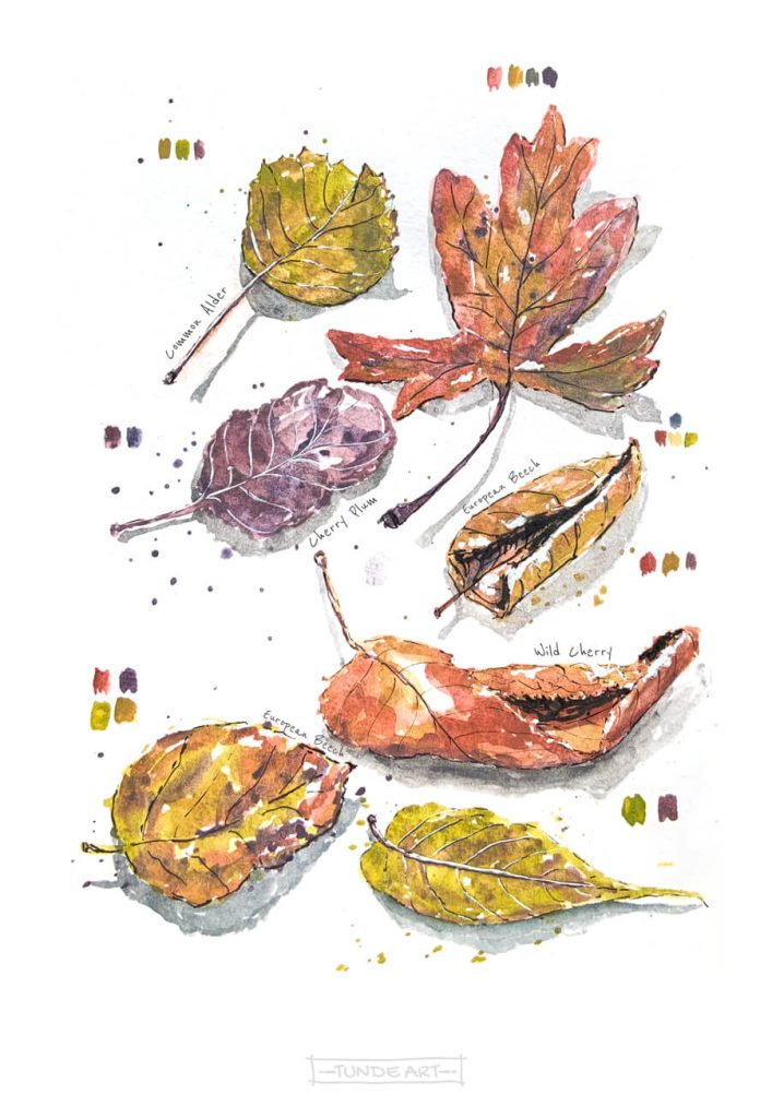 Autumn Leaves by Tunde Szentes
