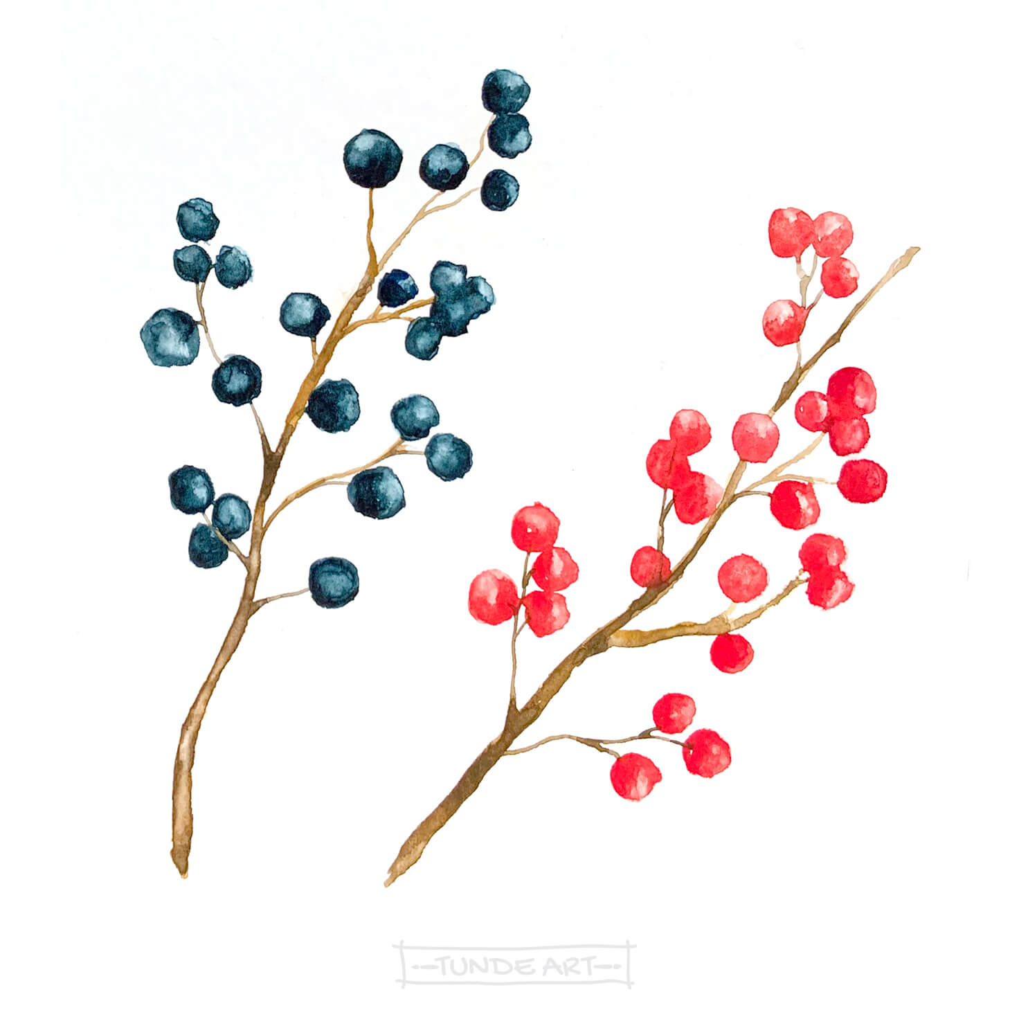 Winter Berries by Tunde Szentes