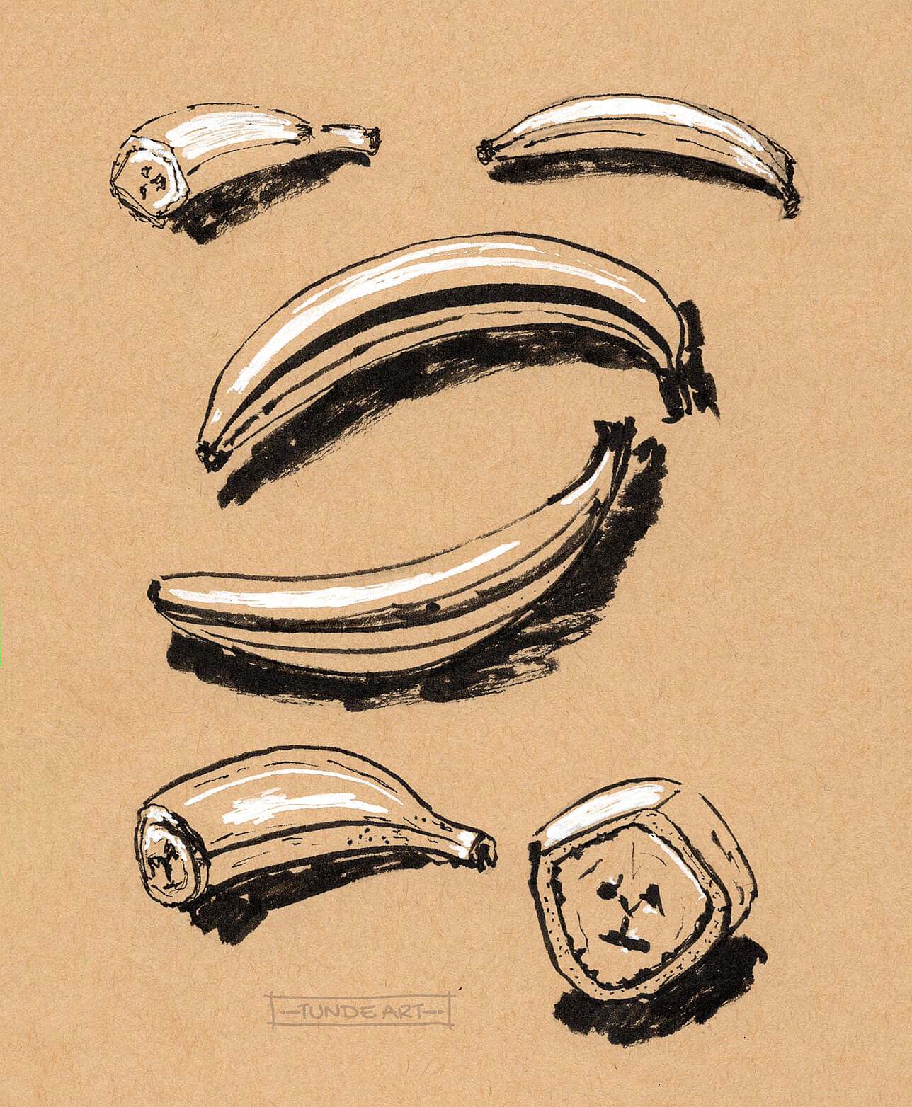 Banana Study on Toned Paper by Tunde Szentes