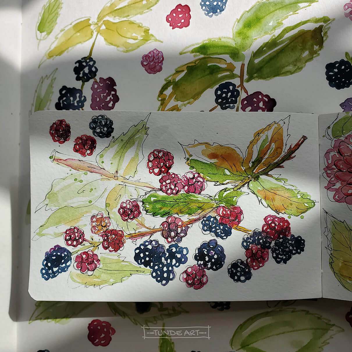 Blackberries Watercolour Sketch - Tunde Art