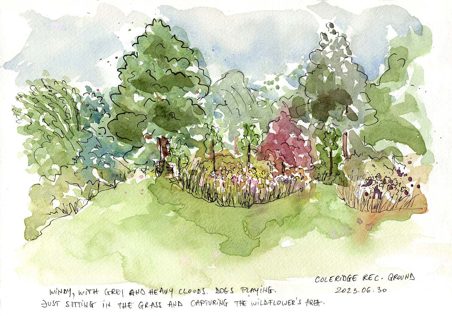 Coleridge Recreation Ground Sketch by Tunde Szentes