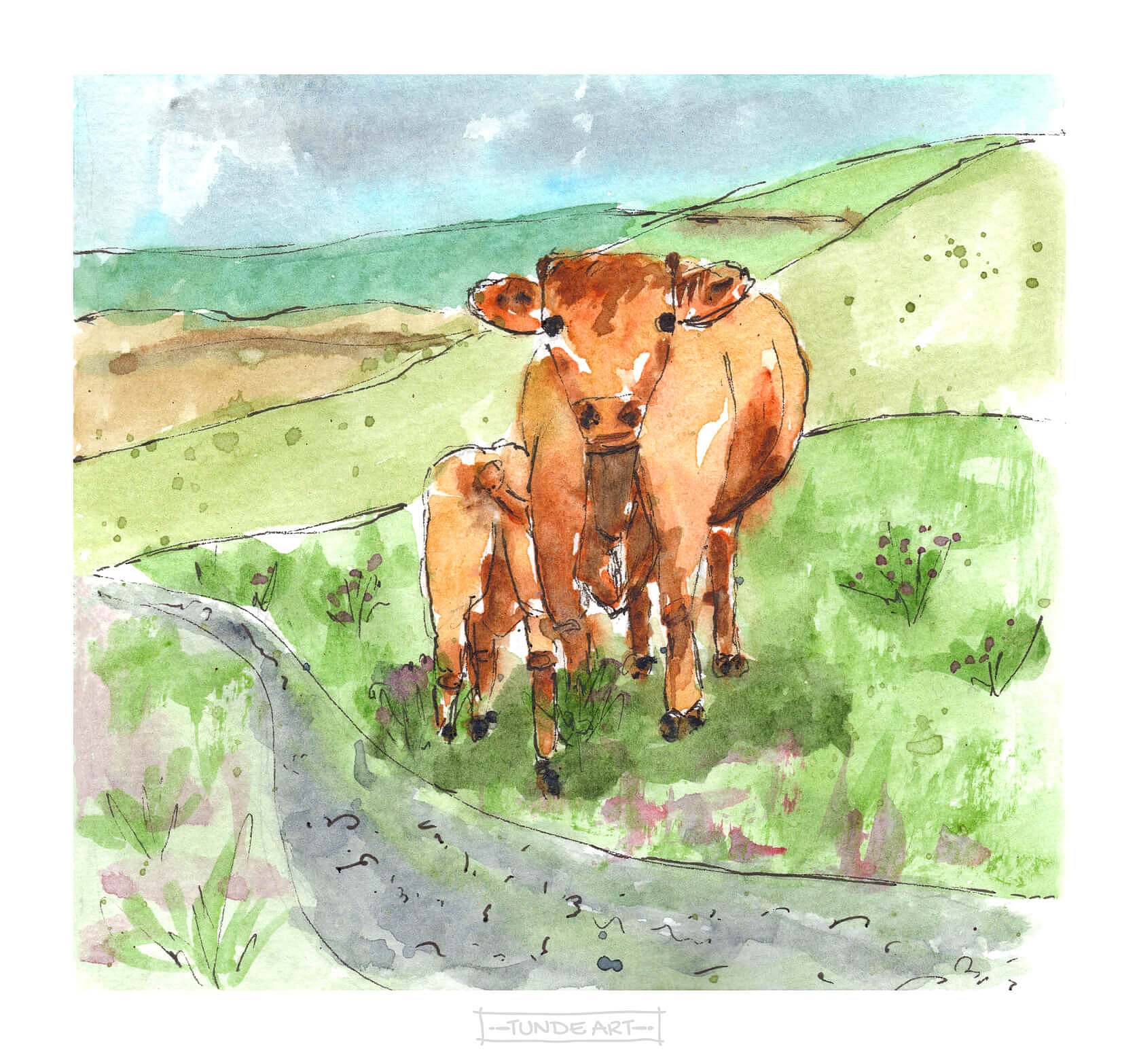 Cows near Malham, Yorkshire Dales by Tunde Szentes
