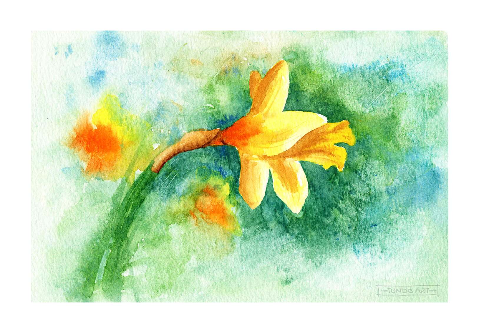 Daffodil loose painting by Tunde Szentes