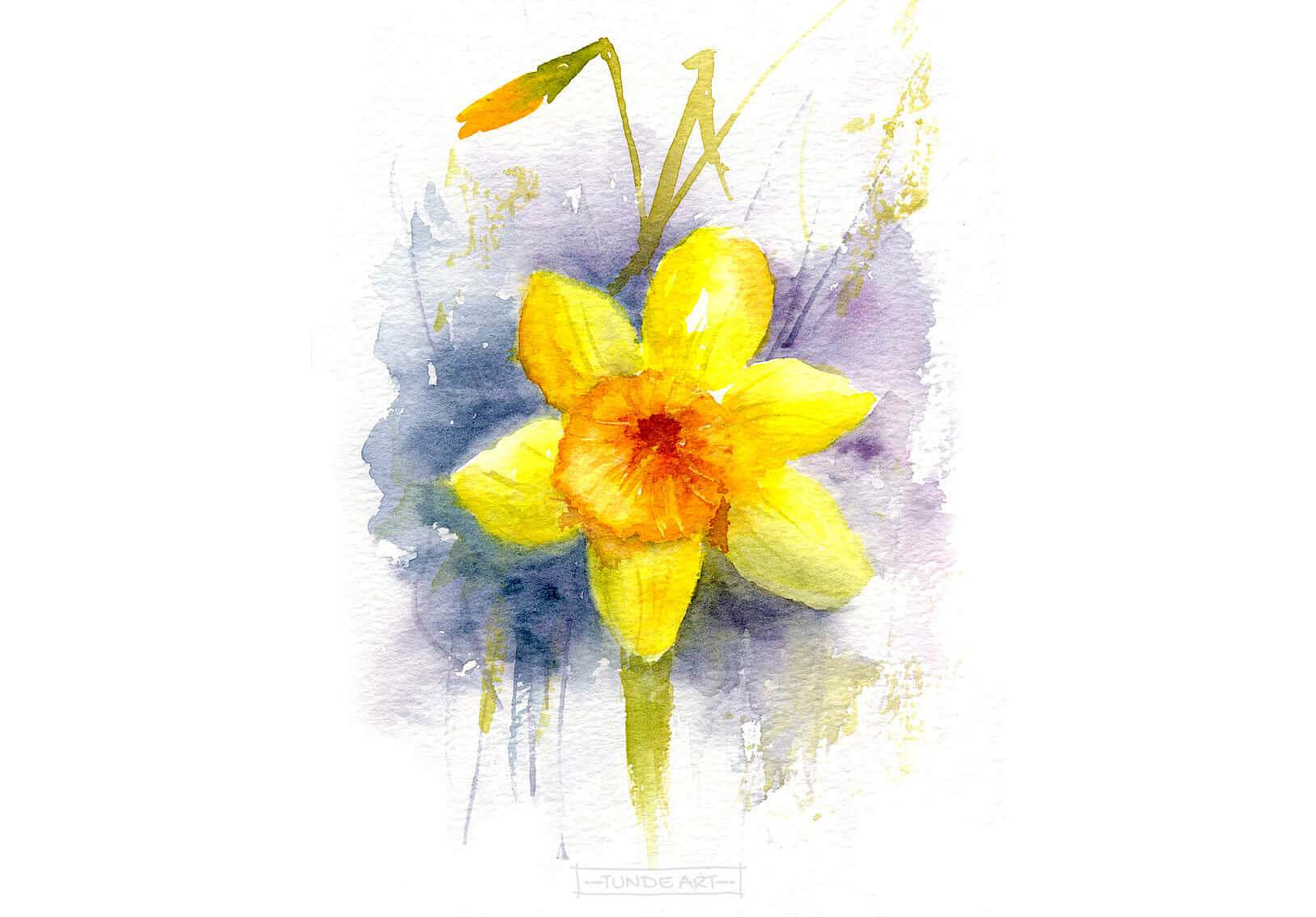 Daffodil loose by Tunde Szentes