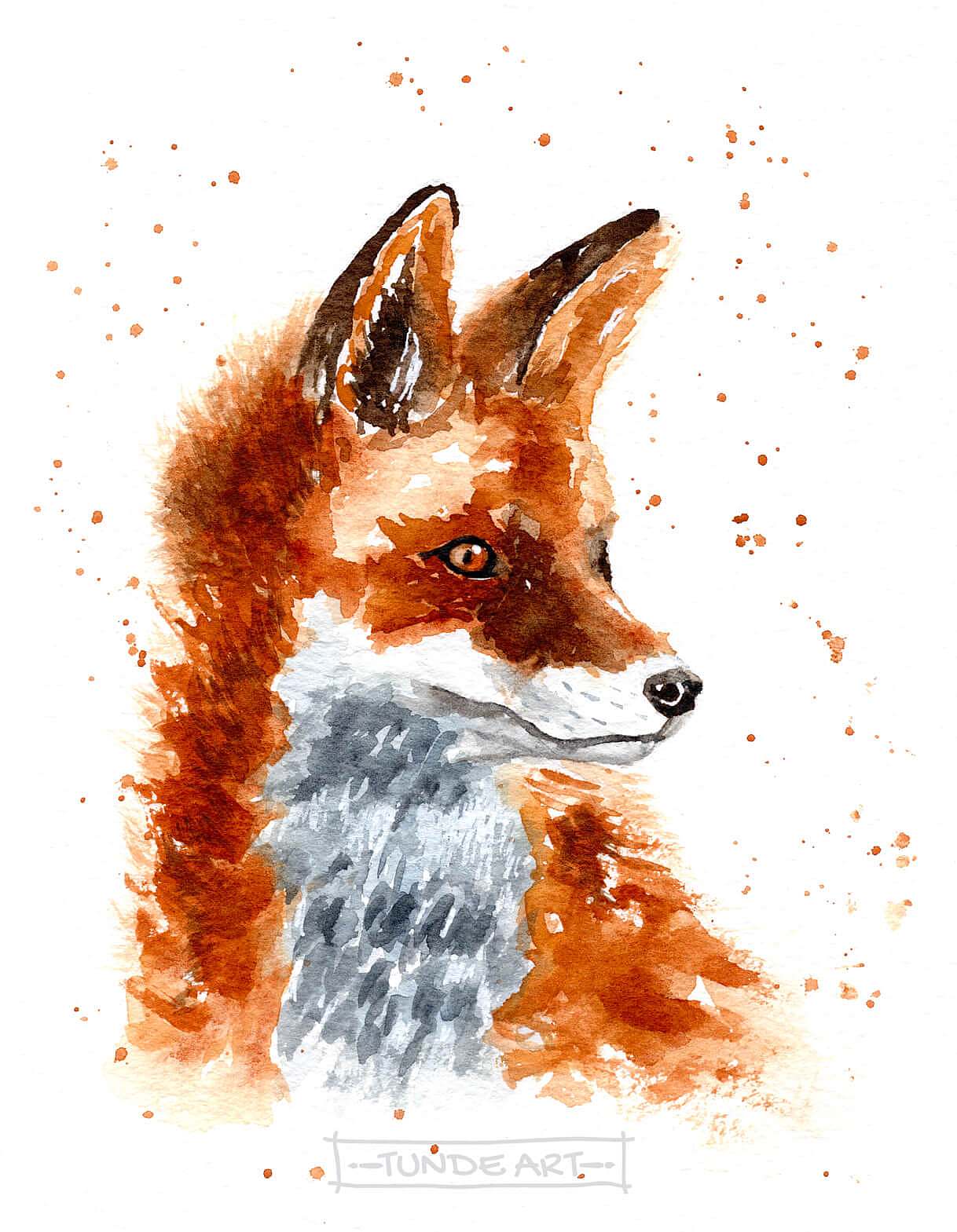 Fox with watercolour by Tunde Szentes