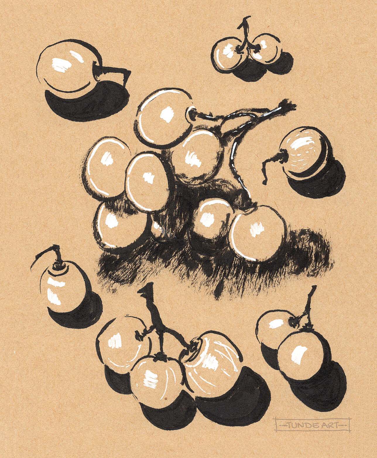 Grapes Study on Toned Paper by Tunde Szentes