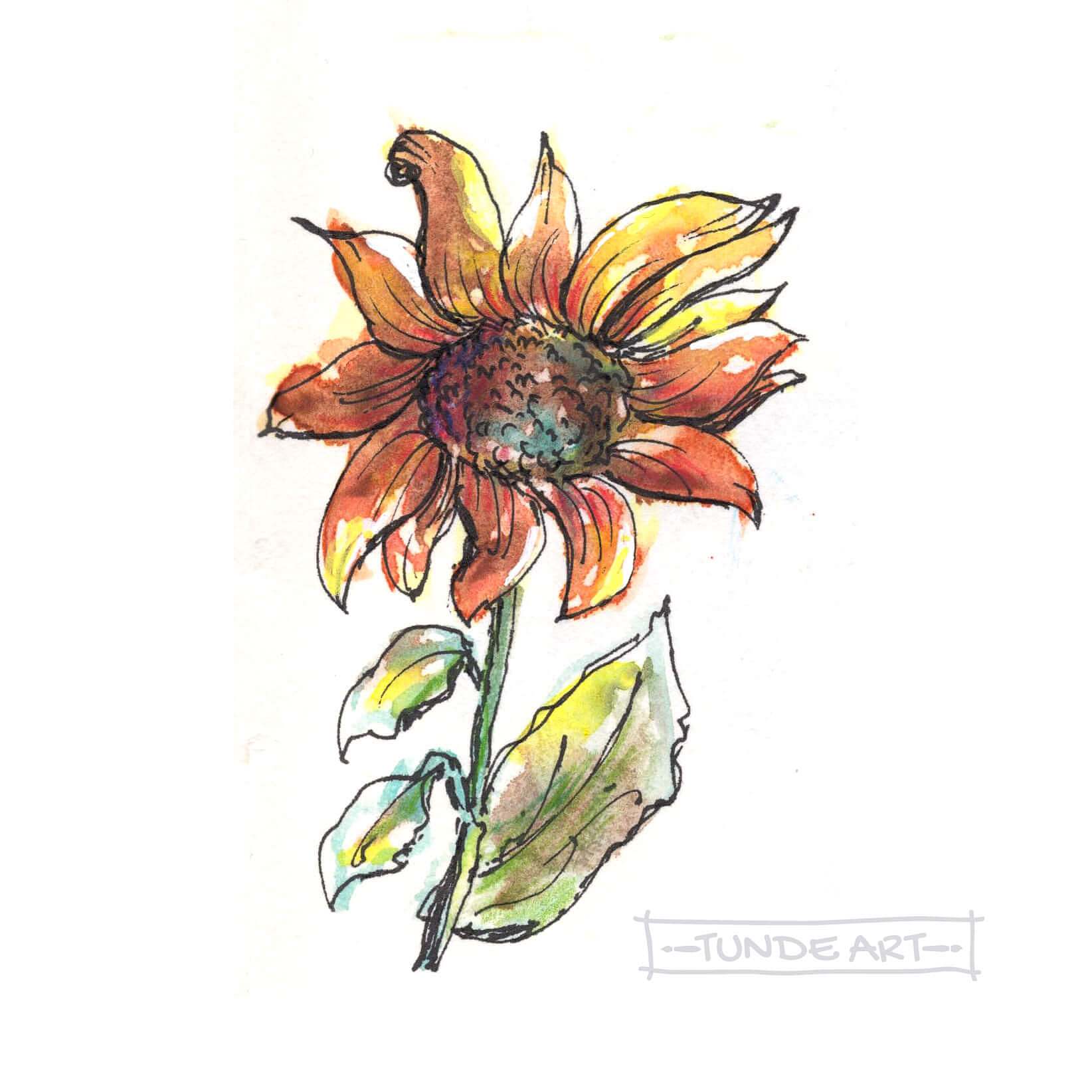 Sunflower Watercolour Sketch - Tunde Art
