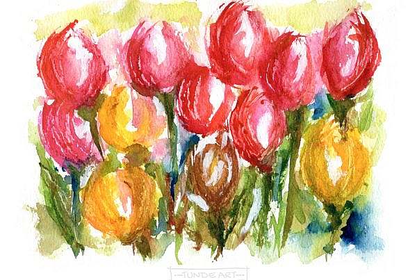 Loose tulips