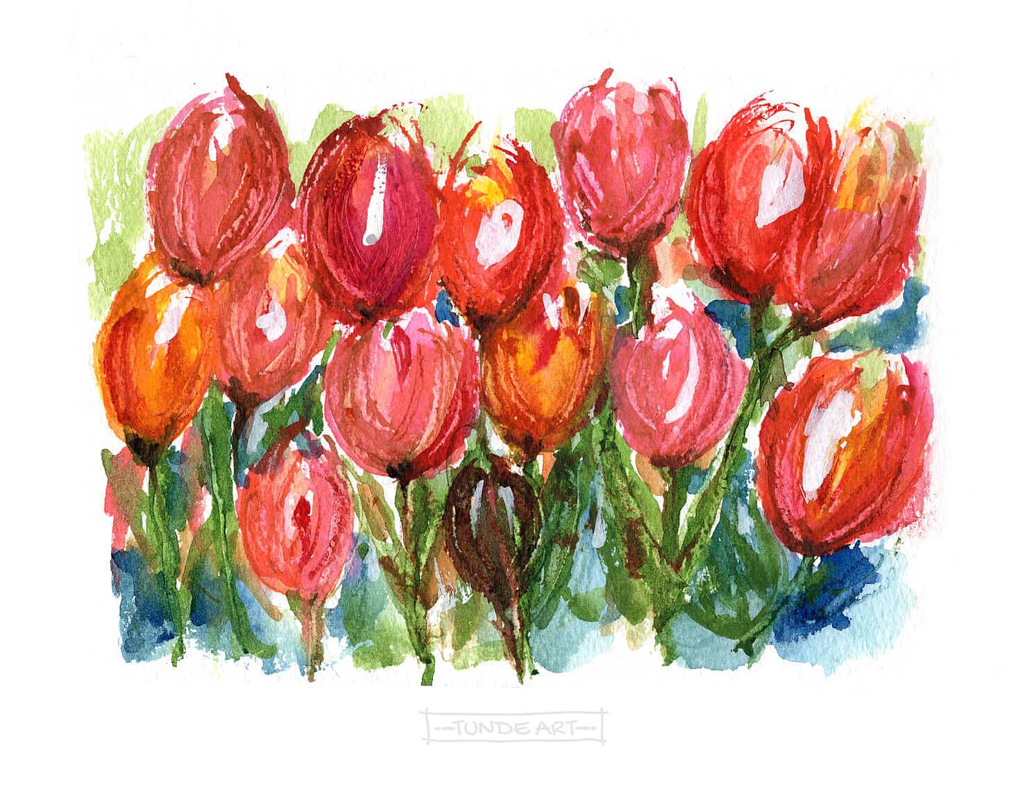 Loose red tulips