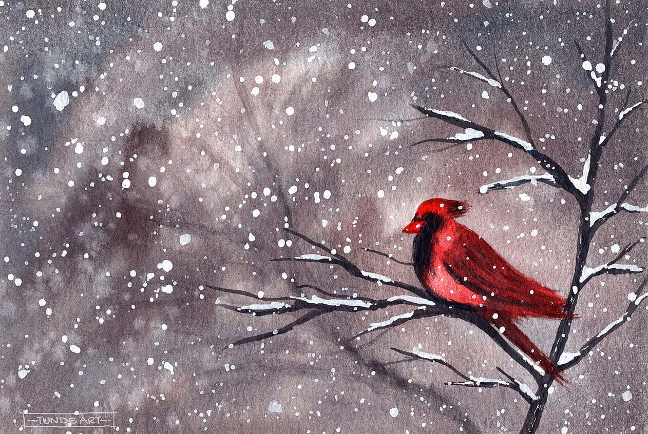 Nordic Cardinal in Winter by Tunde Art