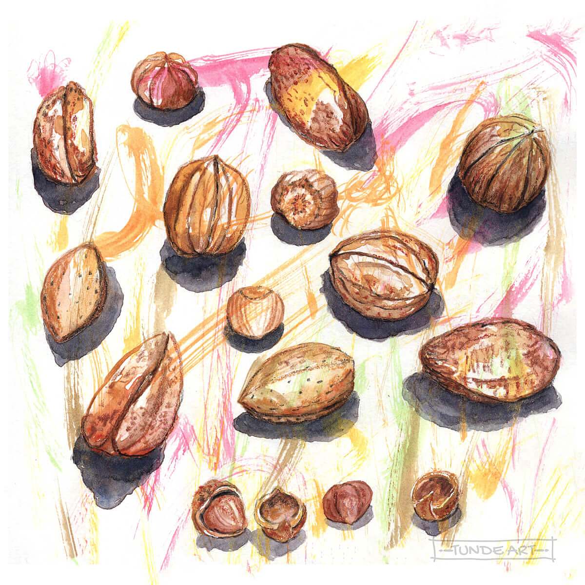 Nuts Watercolour Sketch - Tunde Art
