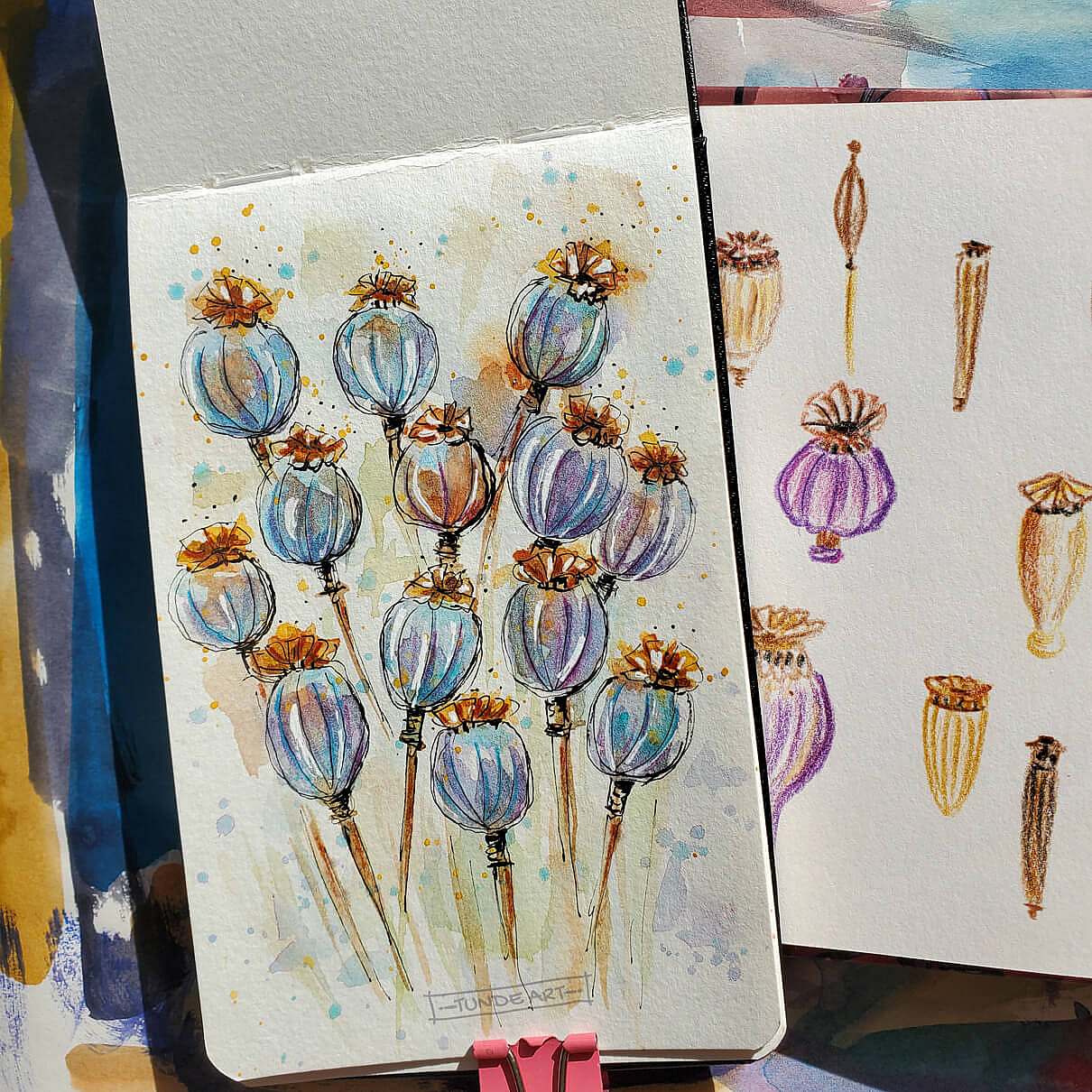 Poppy Seed Pods Watercolour Sketch - Tunde Art