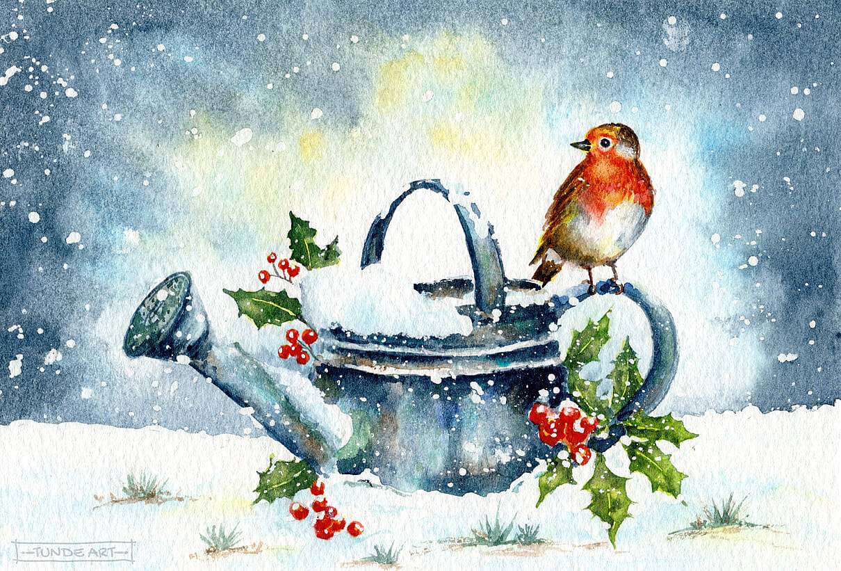 Robin on a Watering Can by Tunde Art