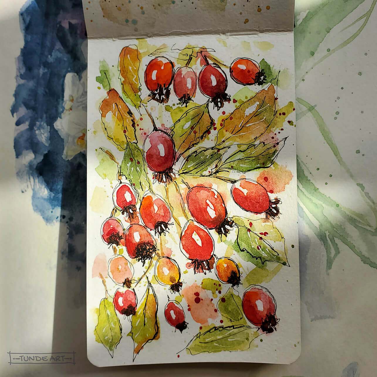 Rose hips Watercolour Sketch - Tunde Art