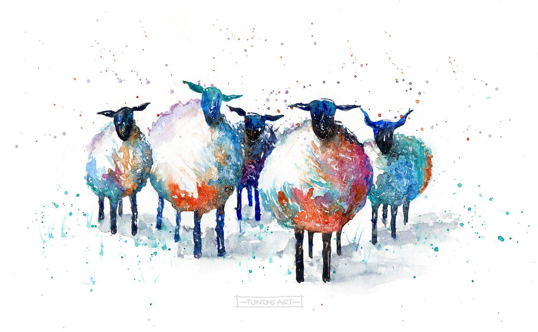 Sheep and a splash of colour by Tunde Szentes