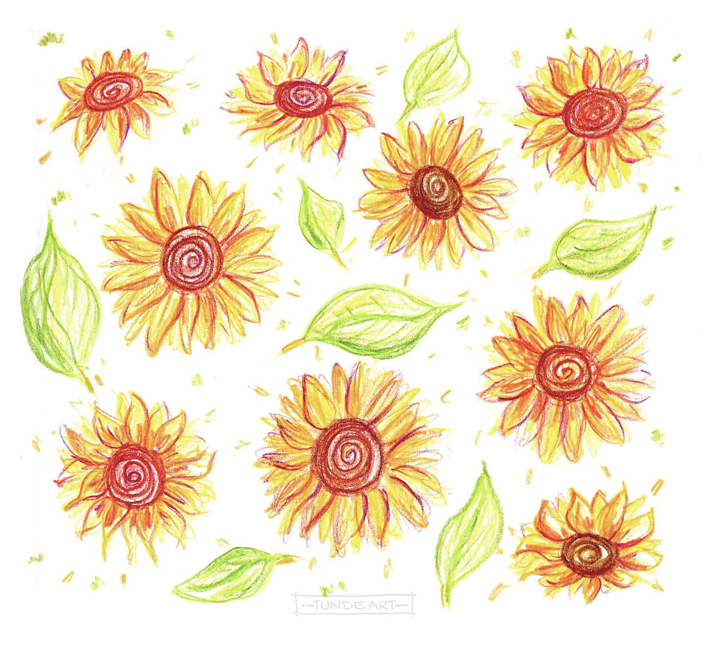 Sunflowers Pencil Sketch - Tunde Art