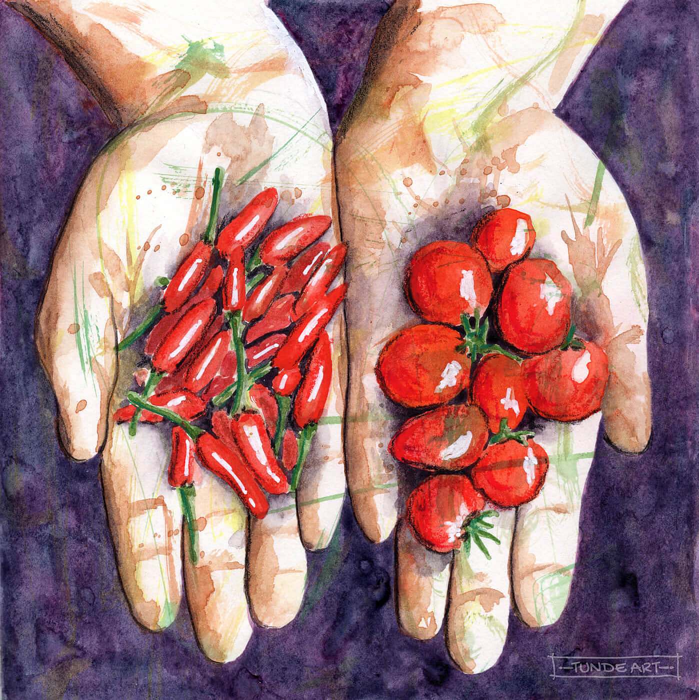 Tomatoes and Chillies Watercolour Sketch - Tunde Art